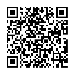 而且实力十分出众――垃圾乐队是颁奖典礼之前的夺冠大热门二维码生成