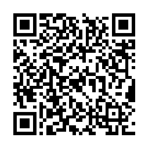 而且已经有着不弱于地下世界封王级强者的实力了二维码生成