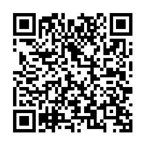 而且我听说你还刚刚治好了一位尿毒症晚期的患者二维码生成