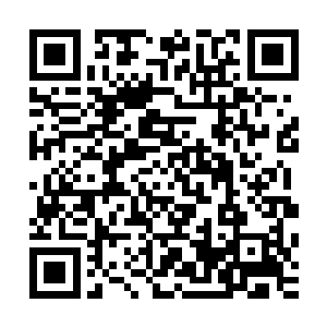 而且早年间我们白家派在欧洲的几个人的死也相传与死神有关二维码生成
