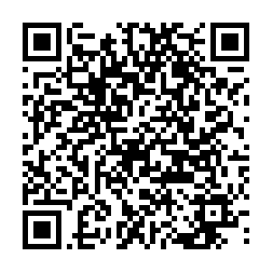 而人妖那些引发此次斗殴事件的罪愧祸首所受到的攻击火力反而是最少的二维码生成