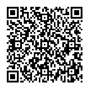 而凌菲发现越来越多的可以食用的食物以及弄的什么种植和养殖更是保障了族里的生活二维码生成