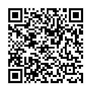 而叠杀拳则是靠着功法内劲与外在攻击频率的结合二维码生成