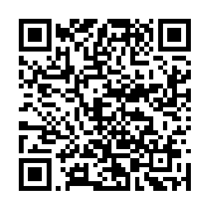 而司徒寻磊与沐剑枫二人这才一脸怨气的爬了起来二维码生成