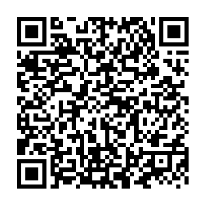 而在流墨墨他们好奇在山顶平原上打量那些一抹绿的黑色植株的时候二维码生成