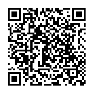 而大宗师从单纯的照顾人情变成了一半照顾人情一半是帮助你这老弱二维码生成