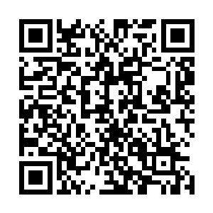 而左督卫这边也对战如意在蓝虎旗的状况保持了极大的关注二维码生成