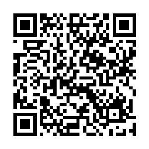 而张翠山殷素素夫妇恰恰缺乏对对方最基本的了解与信任二维码生成