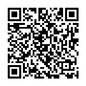 而心不在焉看着前面舞蹈的流墨墨只啧啧传音给雪如楼道二维码生成