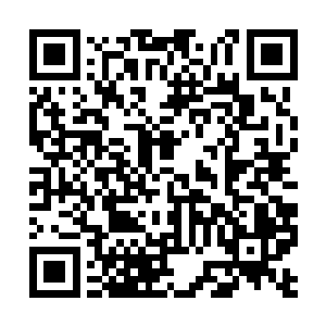 而挨了一掌的石壁里面却不断有声音隆隆持续传来二维码生成