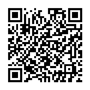 而方寸酒业的梨花酒和汇东酒业的汇醇牌则几乎可以忽略不计了二维码生成