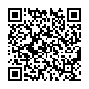 而是另一位……票房和能力与她相当的明星主演的二维码生成