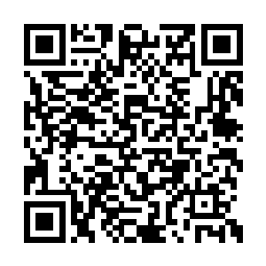 而是小心翼翼地从衣服里层取出了一块羊皮古卷二维码生成