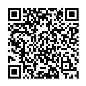 而玄武的攻击手段并不是只有土刺这么单调这么简单二维码生成