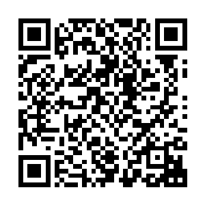而画师都会在极度恐惧中活生生抠出自己的眼睛和一切感光器官二维码生成
