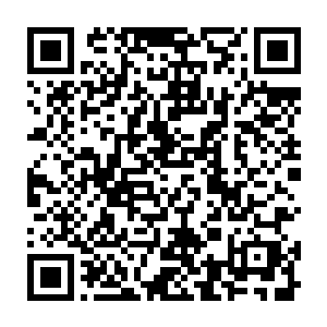 而羽溪也是第一次在他们面前用那种无法理解的强硬态度毫无理由的逼他们离开二维码生成