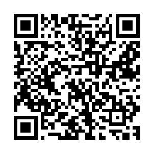 而耶律野更是北戎大军的统帅自然不会对墨修尧有什么好颜色二维码生成