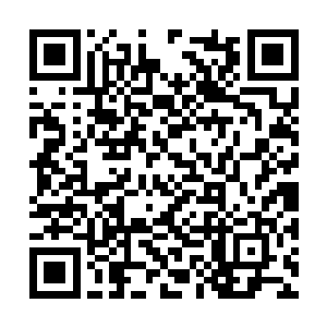 而苍茫山的名声和地位也会从此更加的响亮和巩固二维码生成