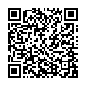 而这里的仙娥实际上有不少也都是经过监察左部的手才放进来的二维码生成