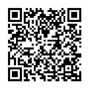 而这龙神玉也是看在杜总管的面子上才打算出卖的二维码生成