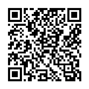 而那小和尚日复一日念诵的经文已然刻在了我们的脑海中二维码生成