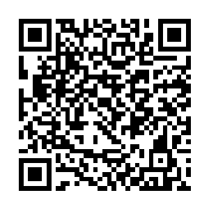 而那时的你也许只剩下孤独…我现在对老白满是怀疑二维码生成