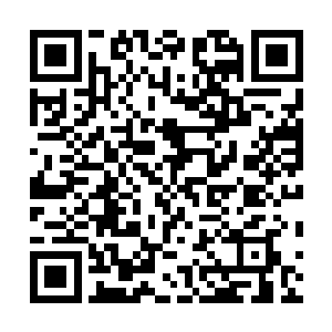 而那曼陀罗华之盾也在这璀璨白金光辉的闪耀下迅速膨胀二维码生成