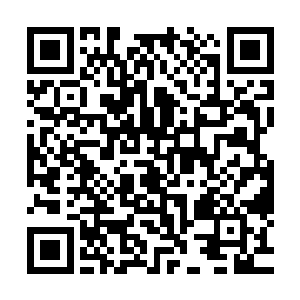 而阮荷黎和秦夫人的谈话到了此时才真正进行到有意义的时刻二维码生成