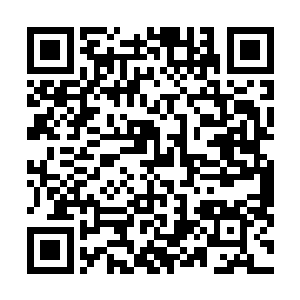 而面对流墨墨狐疑提及的怎么不直接把仙船收起来的问题二维码生成