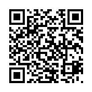 背景的两幢学校楼就像简陋的大厂房二维码生成