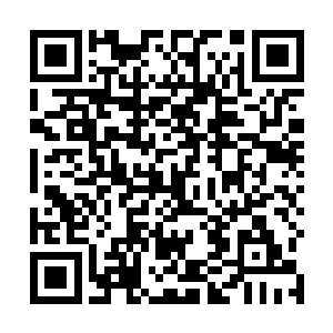 胡玉元胡掌柜将手中的一块玉碟扔给了上首的会长周燃二维码生成