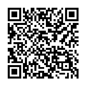 能让一个武皇强者的实力从二级武皇恢复到三级武皇二维码生成