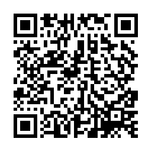 脑中仍然忘不了刚刚这把青剑以极快的速度从远处飞来二维码生成