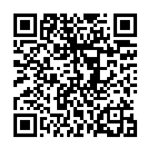 脑海中瞬间闪过许多念头的燕北虹紧急中断自己的法力查探二维码生成