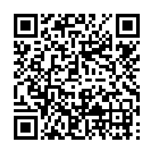 脚上的机炮踏板就跟个最便宜的破车油门一样轻松二维码生成