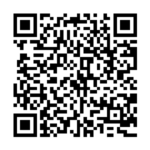 臣倒是觉得凭牛有德的资历和修为在左督卫做总镇有点勉强二维码生成