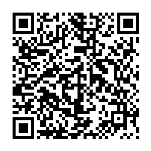 自家这身还带着青色嫩味的护胸竹片甲和对方那一身怎么是用泡油竹片编制而成二维码生成