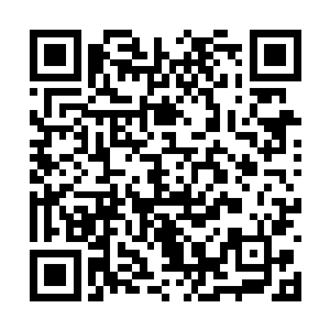 自己到底从那虫界皇族的精血之中得到了什么好处二维码生成