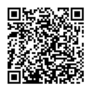 自己的总统果然……还是如上一次见到的时候一样暴躁与……愚蠢二维码生成