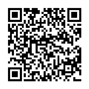 自己的院长门诊项目从安排门诊时间技室到协调流程二维码生成