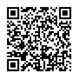 自己若是跟它们生活在一起恐怕也会跟龙战一样吧二维码生成