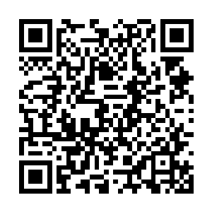 自然是看看还有没有什么人是不想和大统领和解的二维码生成