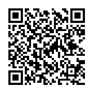 自然留意到了那几份纸张原本是跟茶几上的面包渣二维码生成