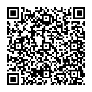 至于之前动过手的江力学和苍玉龙两人则自然而然的就准备好了当洪大力狗腿子的角色二维码生成