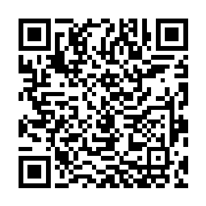 至今为止他们除了任务目标以外没有得到任何有用的线索二维码生成