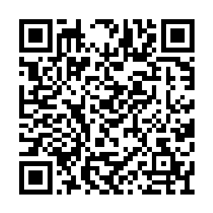 至少要以五年为单位来长远计算才可以得出结论二维码生成