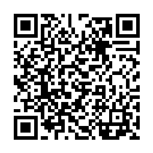 苏孟不就是自己在舍利塔下层遇到的那名小和尚吗二维码生成