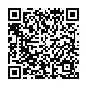 苏落眼睁睁的看着火烈龙头顶上的血条不断往下掉……不断的掉二维码生成