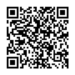 苏轼认为皇帝如今正在干的事情就是在让这头狼重新变得彪悍二维码生成