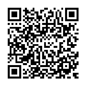 苗毅家里养的妻妾每人每年能动用的仙元丹权限都是过百万的二维码生成